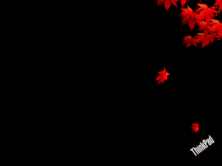 Black background red leaves maple - red leaf free wallpaper