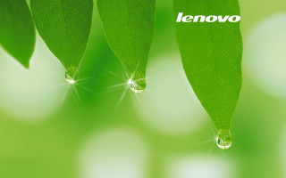 Green leaf lenovo water drop - a green leaf free wallpaper