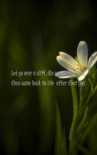 Flower quote grass dark background - the grass free wallpaper