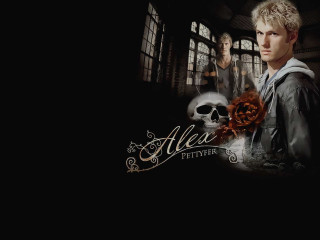 Man window rose skull gothic - a rose free wallpaper
