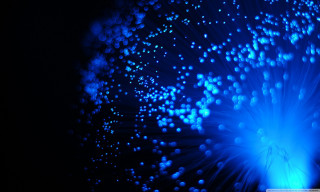 Blue flower bubbles petals black - a blue light free wallpaper