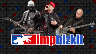 Men guitars skull limp bizkit - alex petruk ape free wallpaper