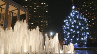 Christmas tree fountain city square - cherryl fountain free wallpaper