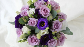 Bouquet purple white flowers white - a bouquet free wallpaper