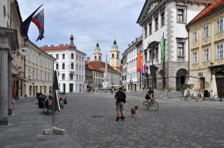 European street man dog cobblestones - ultra wide angle free wallpaper