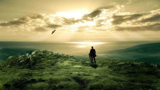 Man hill ocean bird flying - overhead in the distance free wallpaper