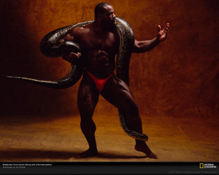 Man red bikini snake neck - black arts movement free wallpaper