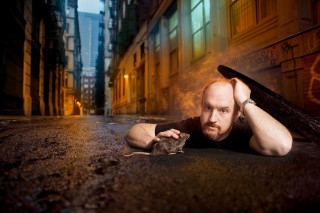 Man rat ground graffiti building - bill lewis free wallpaper