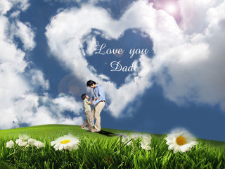 Couple flowers field cloudy sky - a lush green field under a cloudy sky free wallpaper