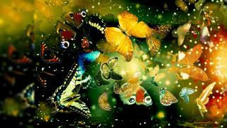 Butterflies flying green background yellow - yellow light free wallpaper