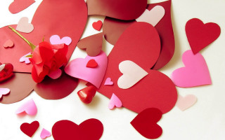 Hearts flower table paper hearts - free hearts wallpaper for desktop