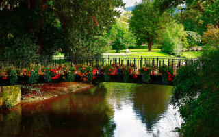 Bridge river flowers fence park - a bridge over a river free wallpaper
