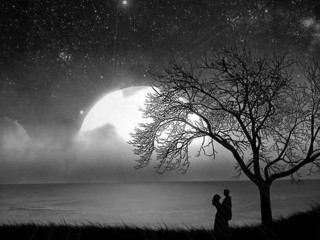 Man tree fullmoon starfilledsky lake - full free wallpaper