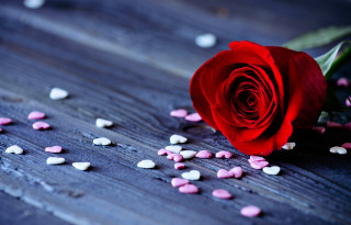 Red rose hearts table flower - heart free wallpaper