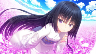 Girl white shirt purple hair - a field of flowers free wallpaper