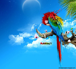 Colorful parrot perched branch tree - a branch of a tree free wallpaper