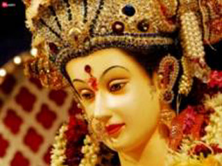 Woman costume flower hair smiling - her hair and a flower free wallpaper