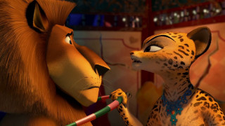 Cartoon animal lion talking room - altoon sultan free wallpaper for desktop