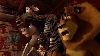 Animated animals zebra giraffe wall - animated free wallpaper
