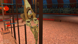 Giraffe circus hind legs ball - its hind leg free wallpaper