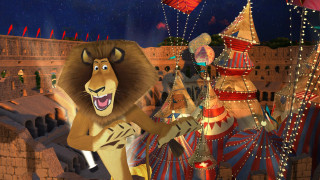 Cartoon lion circus tent balloons - balloon free wallpaper