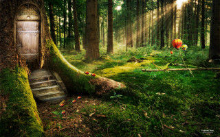 Door woods mossy tree stairs - mossy free wallpaper