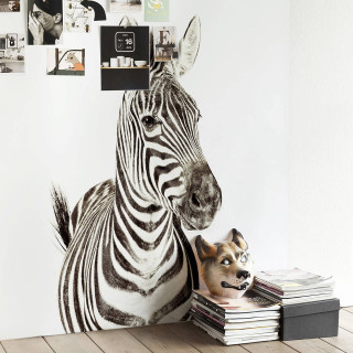Zebra dog table wall pictures - the wall free wallpaper