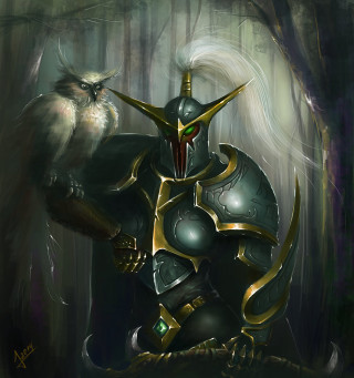 Knight bird shoulder painting artwork - anne stokes free wallpaper