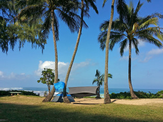 Tent palm trees beach blue - two palm tree free wallpaper
