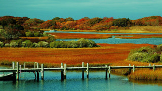 Marshy dock landscape brook sky - alexander brook free wallpaper