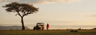 Safari vehicle parked field tree - free sunset wallpaper