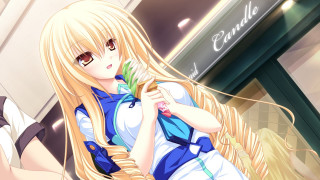 Blonde girl holding flower shopping - a flower free wallpaper