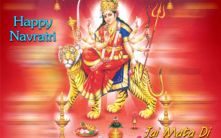 Happy navratii tiger person back - a tiger free wallpaper