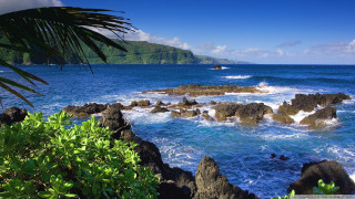 Rocky beach boat palm tree - wave free wallpaper