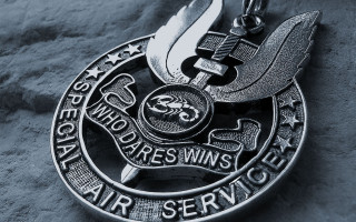Silver medal bird gray surface - action free wallpaper