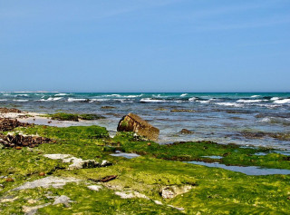 Rocky shore blue sky lone - green alga free wallpaper