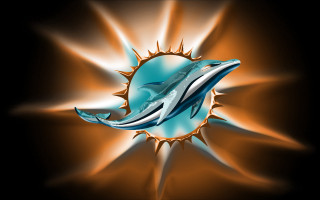 Dolphin sunburst fish swimming water - a sunburst free wallpaper