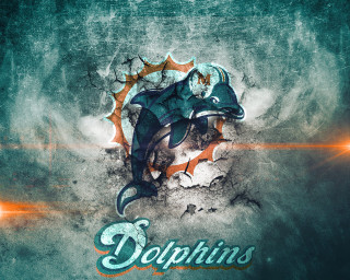 Dolphins splash paint face image - the middle free wallpaper