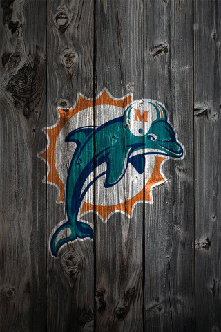 Dolphins logo painted wooden fence - a wooden fence free wallpaper