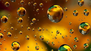 Bubbles window yellow flower green - a bunch of bubbles free wallpaper