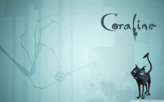 Black cat blue wall coraline - craola free wallpaper