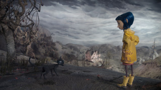 Woman yellow raincoat black cat - alexander jansson free wallpaper for desktop