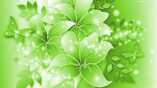 Green background white flowers leaves - head free wallpaper