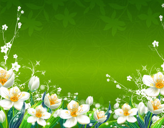 Green background white flowers butterflies - environmental art free wallpaper for desktop