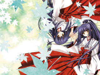 Girl red dress stars flag - a flag in the background free wallpaper
