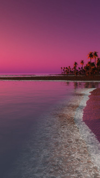 Beach pink sky palm trees - dawn free wallpaper