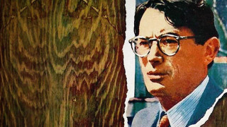 Man glasses tie tree picture - a picture of him free wallpaper