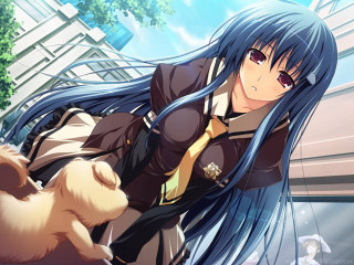 Woman long hair cat lap - her back free wallpaper