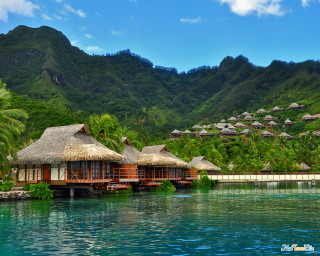 Tropical resort palm lake mountain - tropical free wallpaper