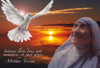 Woman dove sunset quote mother - free love wallpaper